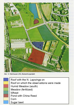 Ariel photo of the surroundings at the Steinhausen site, Canton Zoug, with habitat use of northern lapwings (<i>Vanellus vanellus</i>) mapped on. (Photo by L. Jensen and A. Kaufmann search.ch/Endoxon AG, TeleAtlas)